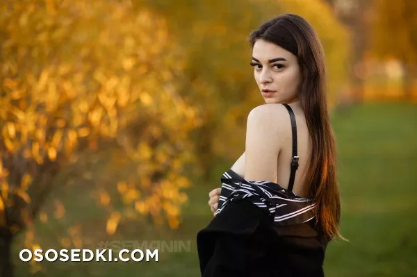 DArya - 4