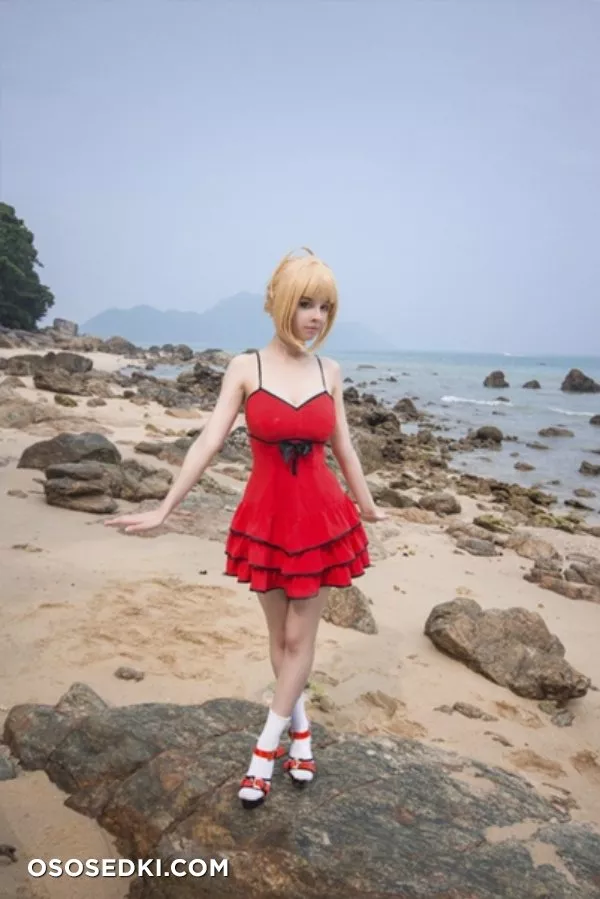 Saber | Fate Series | Helly von Valentine - 1
