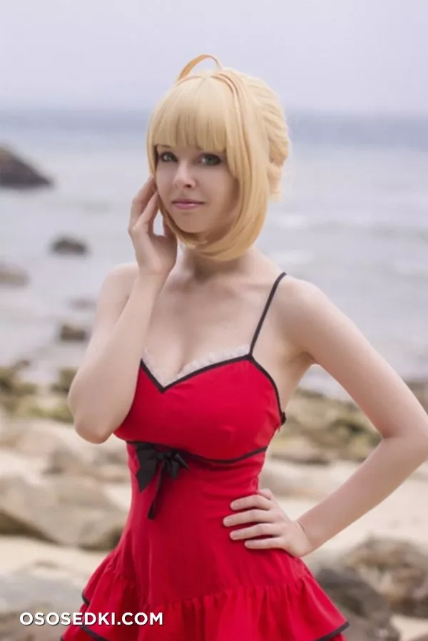 Saber | Fate Series | Helly von Valentine - 4