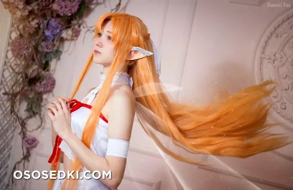 Kawai Fox - 1