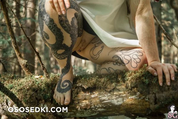 nate_karanlit		Fandom: Princess Mononoke 	 - 3