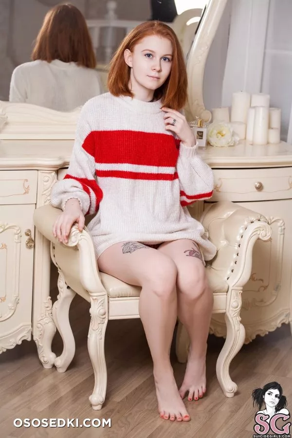 Dolphie - 4