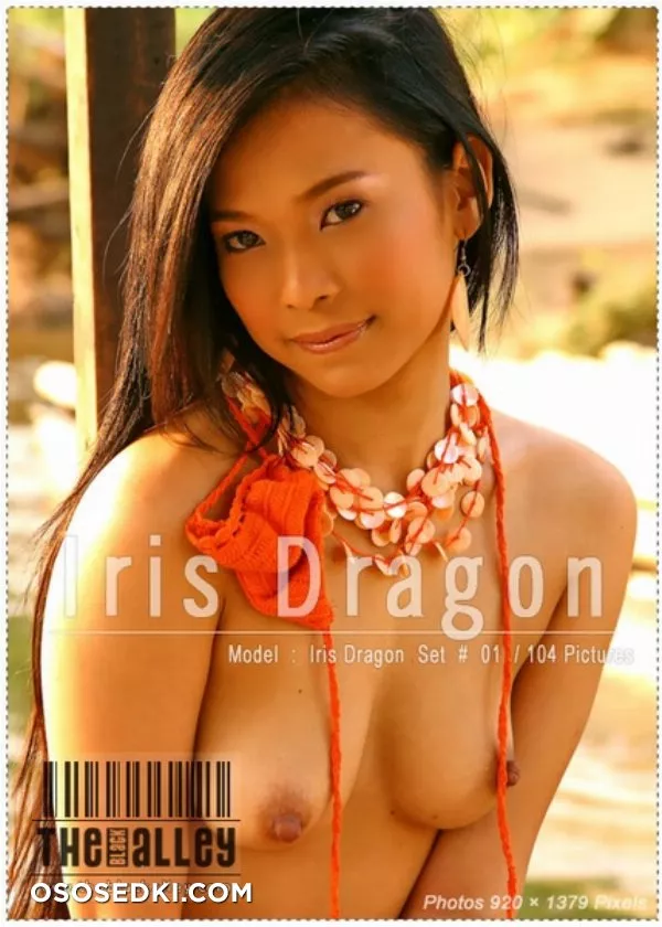 Iris Dragon set 7 - 1