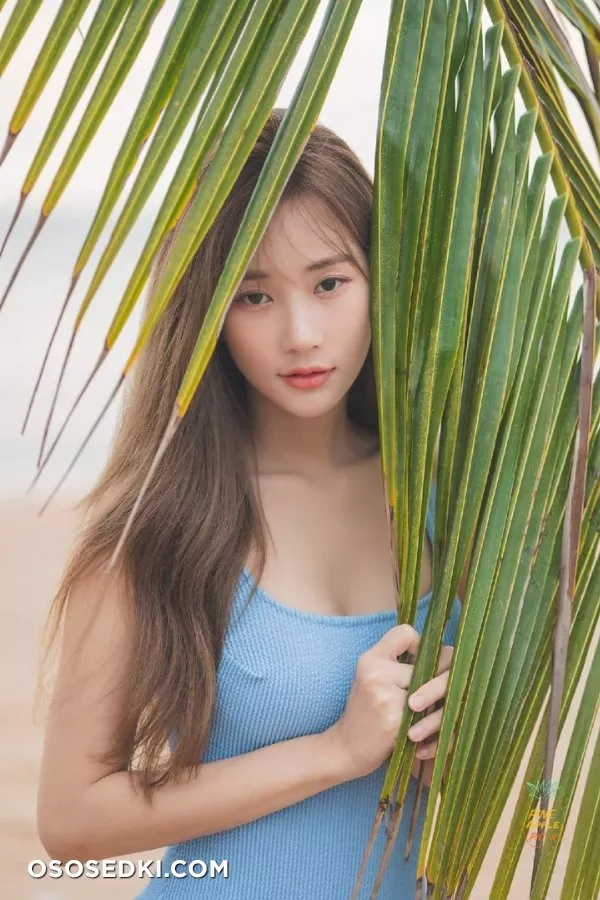 New - 2