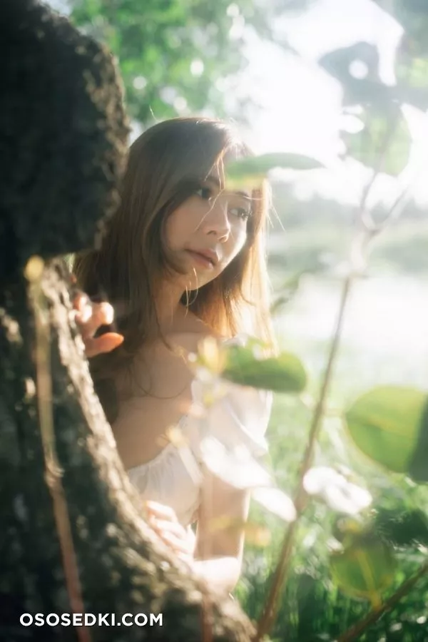 Noey - 3