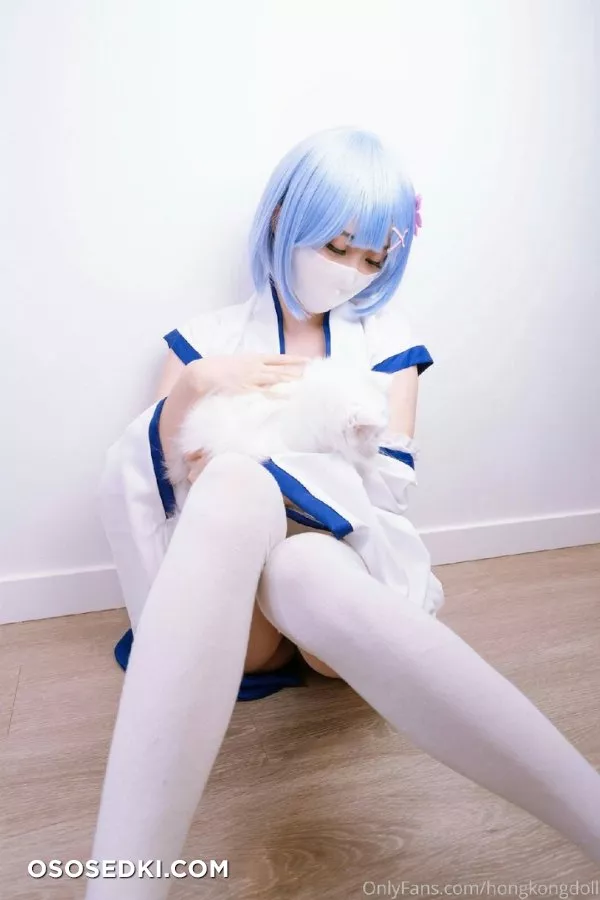 Rem (Re:Zero) HongKongDoll - 4