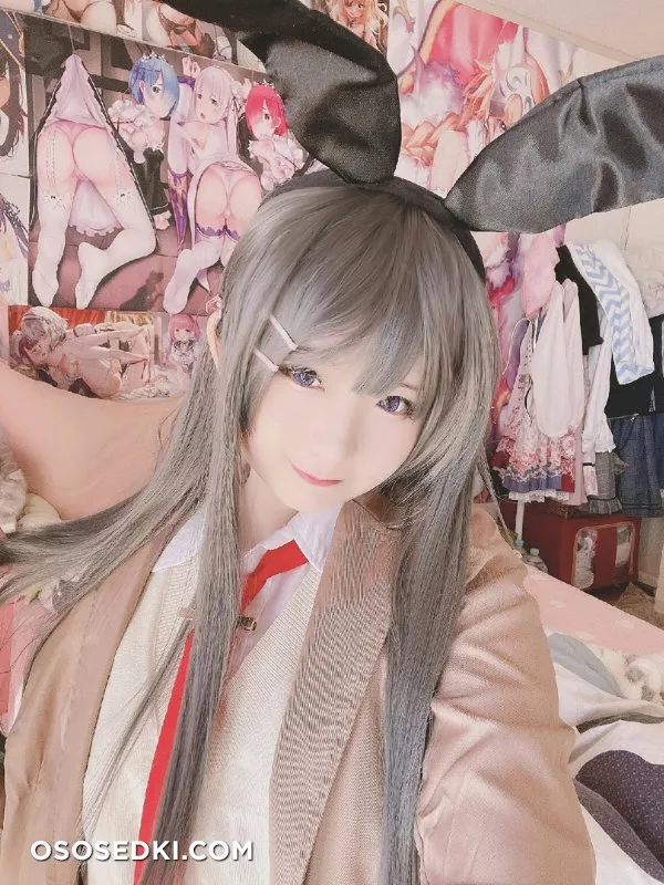 Mai Sakurajima (Seishun ButaYarou WA Bunny Girl Senpai No Yume Wo Minai) Misa呆呆 - 1