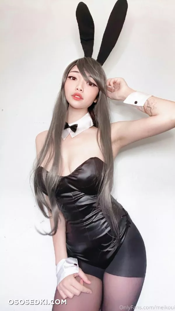 Mai Sakurajima (Seishun ButaYarou WA Bunny Girl Senpai No Yume Wo Minai) Meikoui - 1