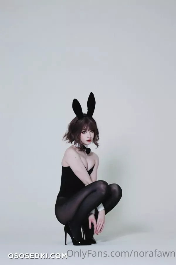 Norafawn - Birthday Bunny - 5