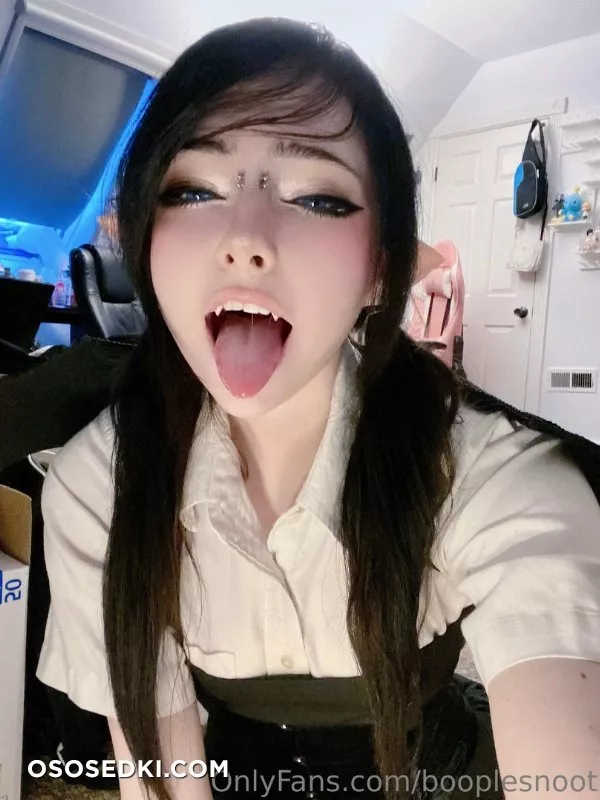 BoopleSnoot - mfw - 2