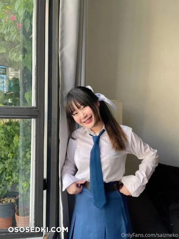 saizneko - 1