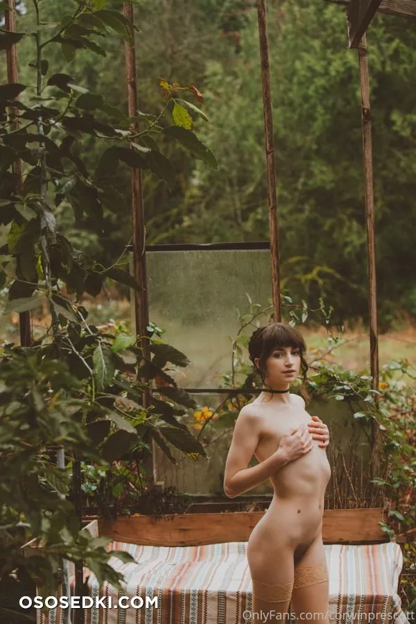 Flora Rodgers set - 3