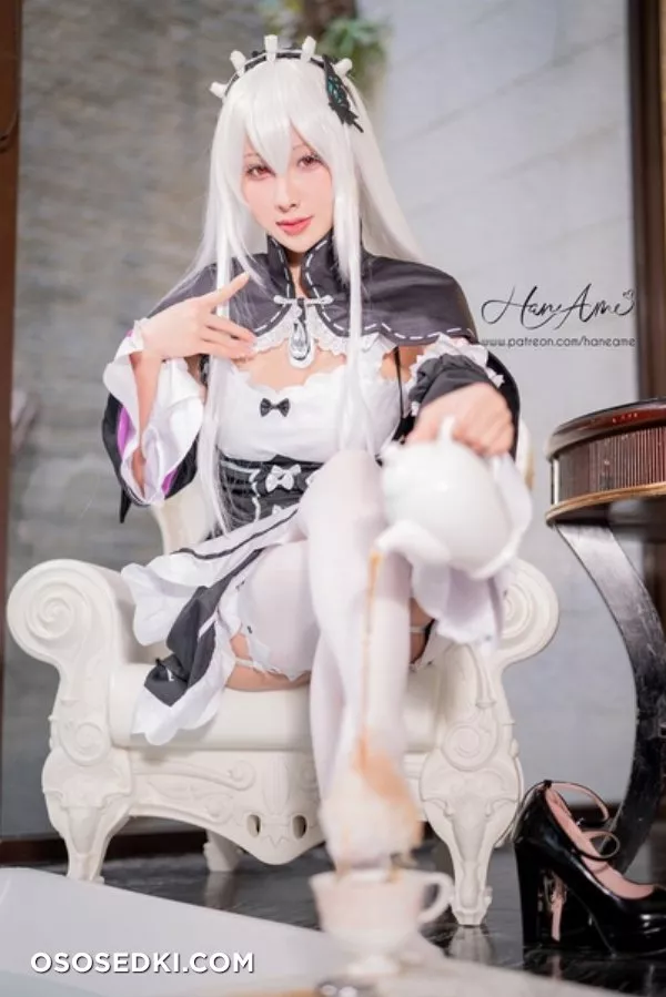 Hane Ame | Echidna - 4