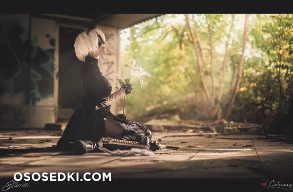 Calssara | 2B - 1