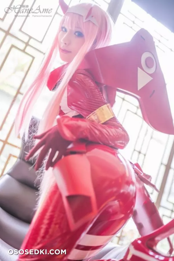 Hane Ame | Zero Two - 3