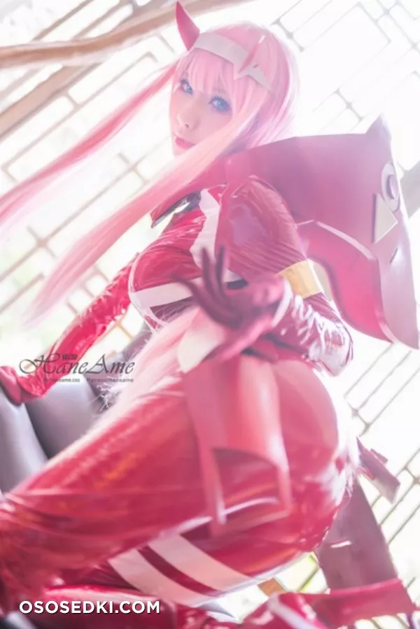Hane Ame | Zero Two - 4
