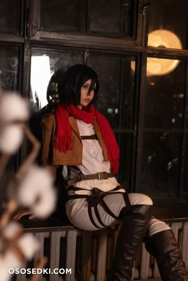 Vinnegal | Mikasa - 1