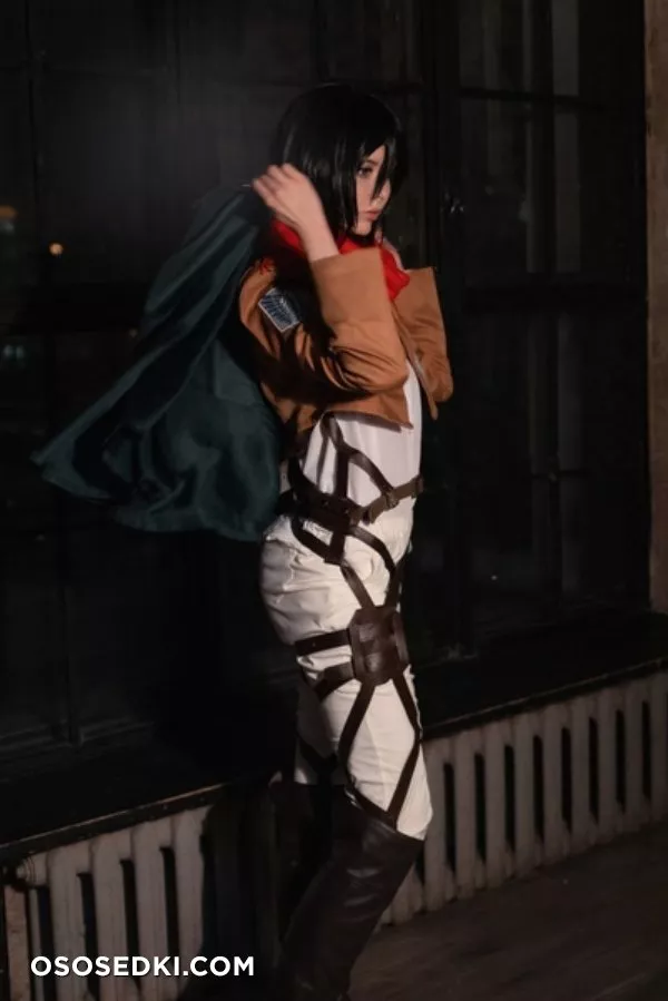 Vinnegal | Mikasa - 2