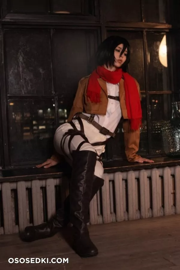 Vinnegal | Mikasa - 3