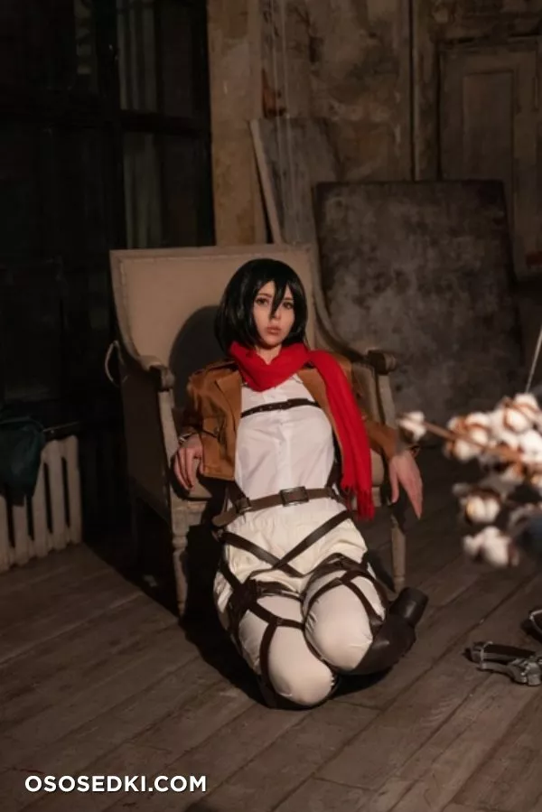 Vinnegal | Mikasa - 4