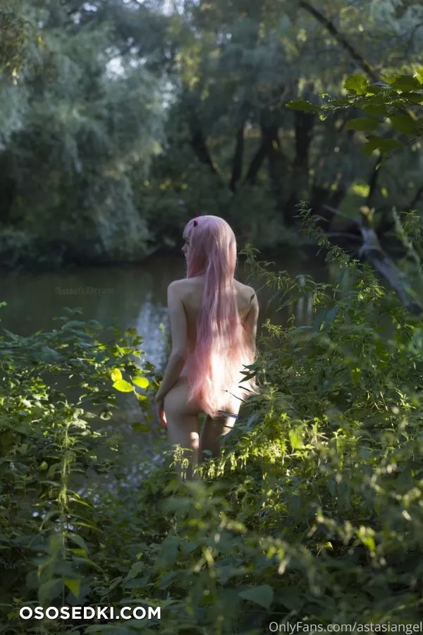 Astasia Dream | Zero Two - 3
