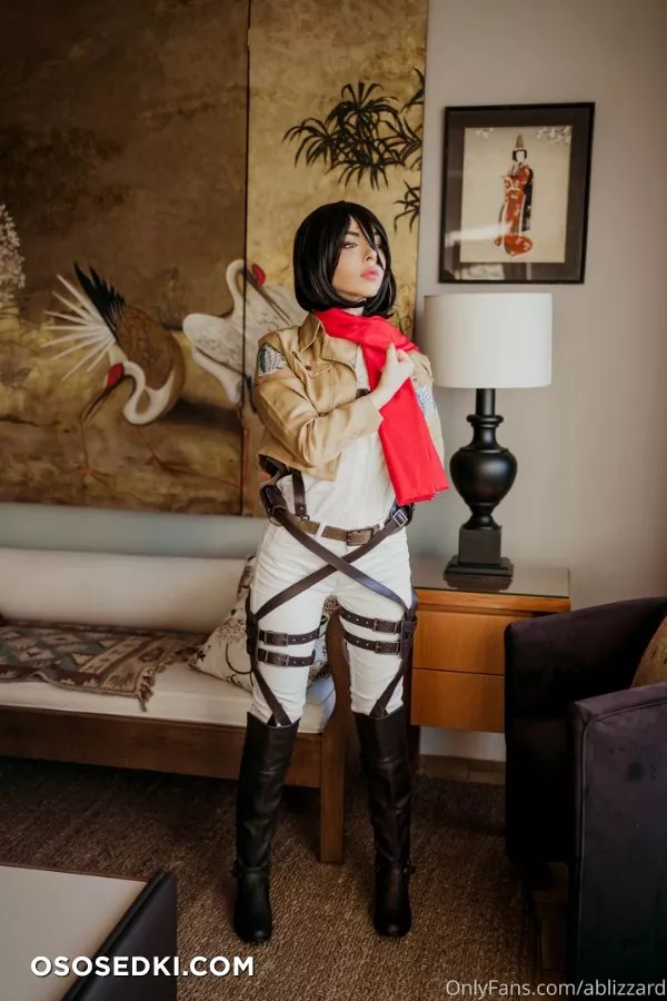 Ablizzard | Mikasa - 3