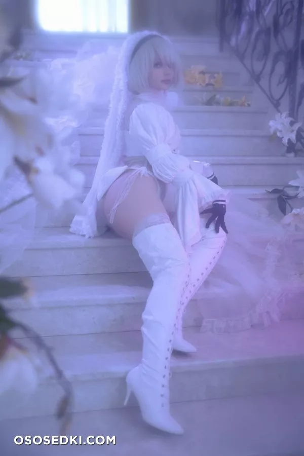 2B Bride by Alcoholy

Fandom: Nier: Automata - 4