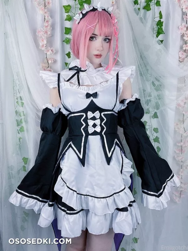 Emiigotchi - Ram - 2