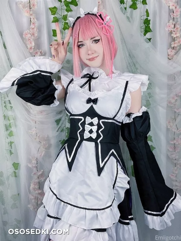 Emiigotchi - Ram - 5