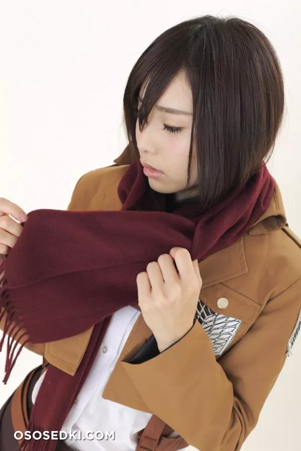 Aisaka Megumi | Attack on Titan | Mikasa - 2