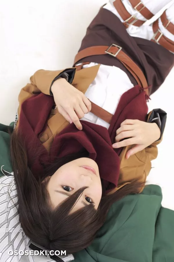 Aisaka Megumi | Attack on Titan | Mikasa - 4