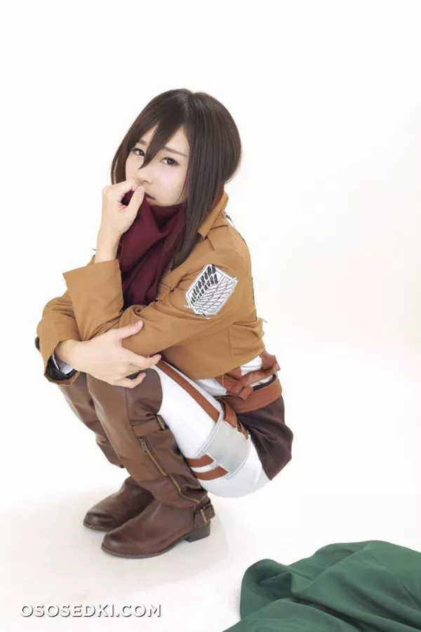 Aisaka Megumi | Attack on Titan | Mikasa - 5