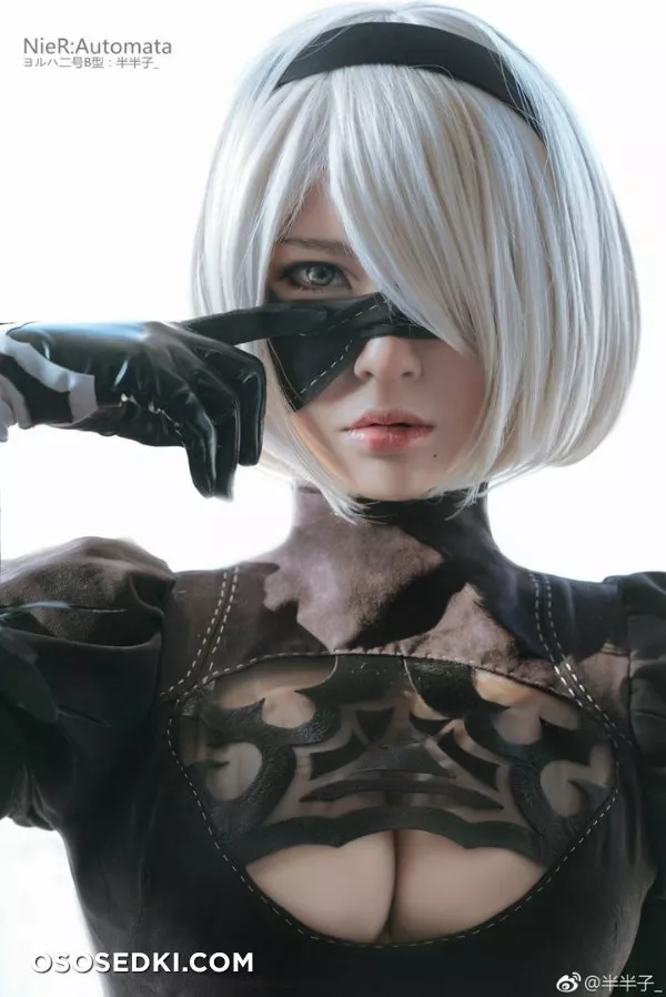 SesshuAsuak (半半子) | Nier: Automata | 2B - 1