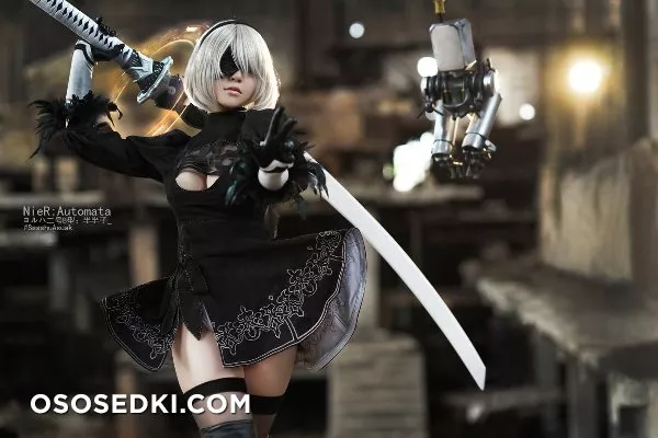 SesshuAsuak (半半子) | Nier: Automata | 2B - 5