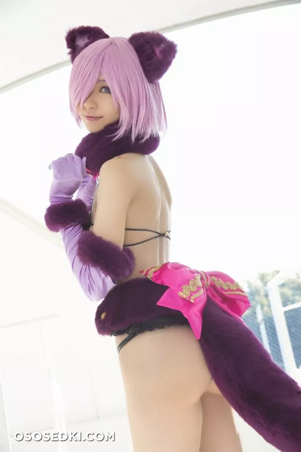 Mikehouse | Fate | Mash Kyrielight - 4