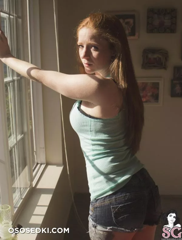 Eggshellz - Window Watching - 2