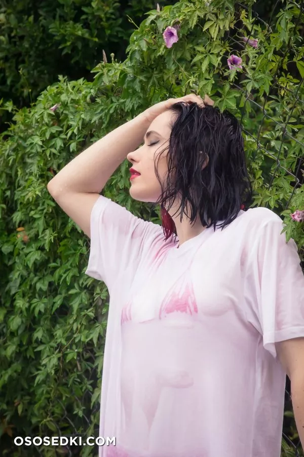 Nichameleon - 600 patrons bonus set - 1