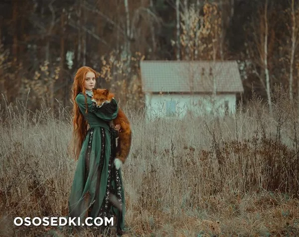 Red Fox - 1