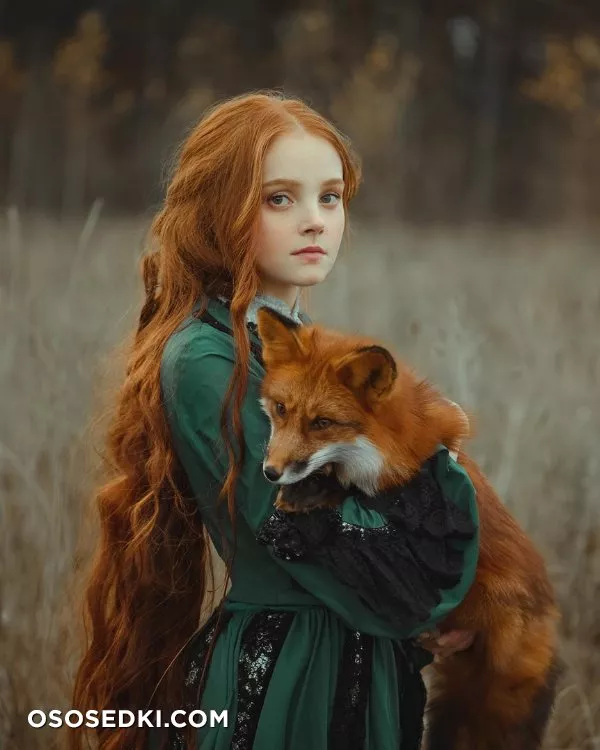 Red Fox - 2