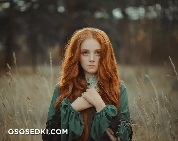 Red Fox - 3