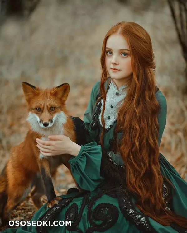 Red Fox - 5