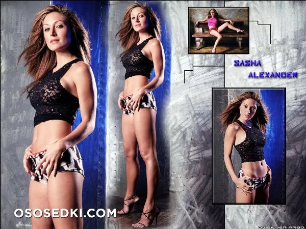Саша Александр голая - фото Sasha Alexander - 5