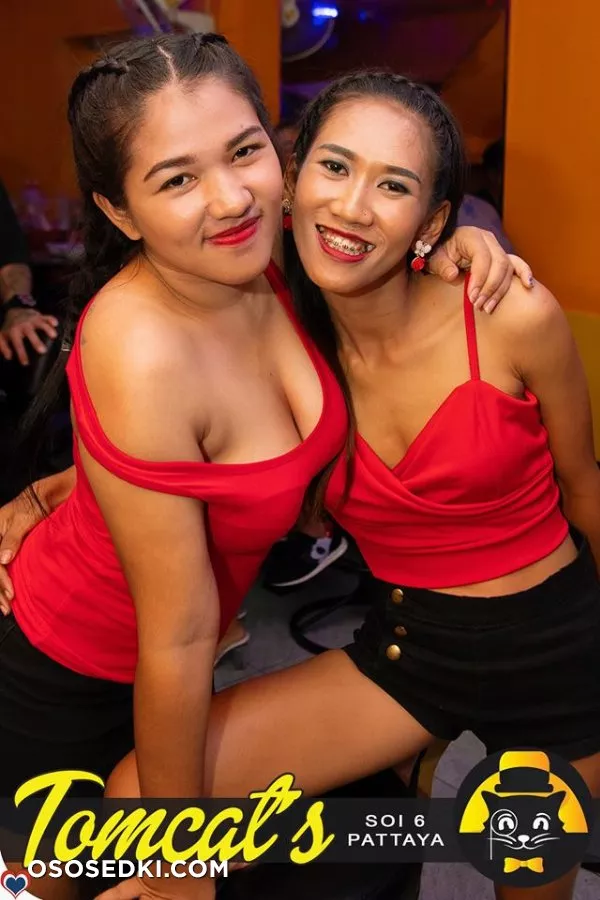 Tomcat's Soi 6 - 3